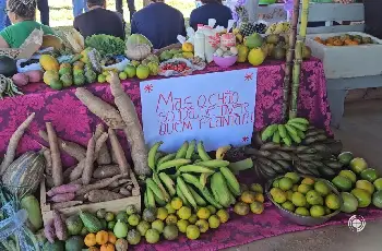 Galeria de Imagem