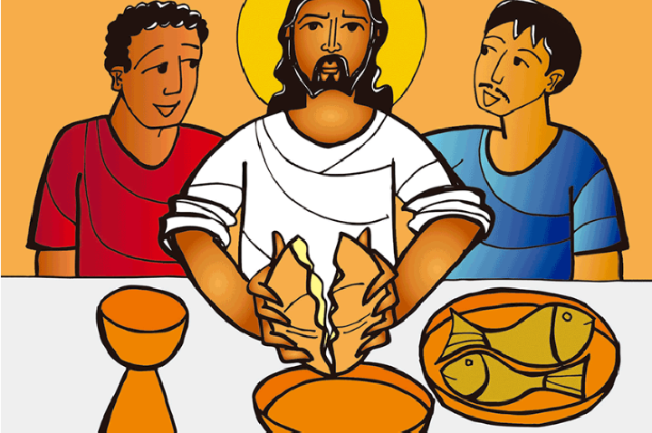 Diocese de Juína promove grande formação para catequistas e agentes da liturgia