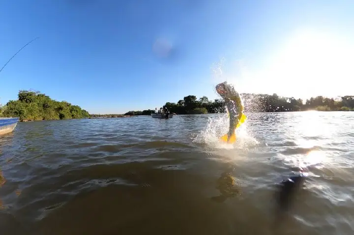 Fim da piracema abre oficialmente temporada de pesca esportiva em Mato Grosso