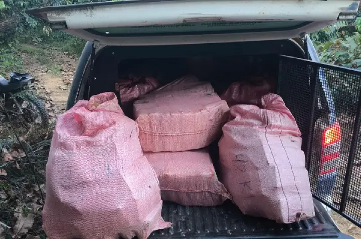 Força Tática apreende cerca de 500 quilos de drogas em área de mata no distrito de Guariba