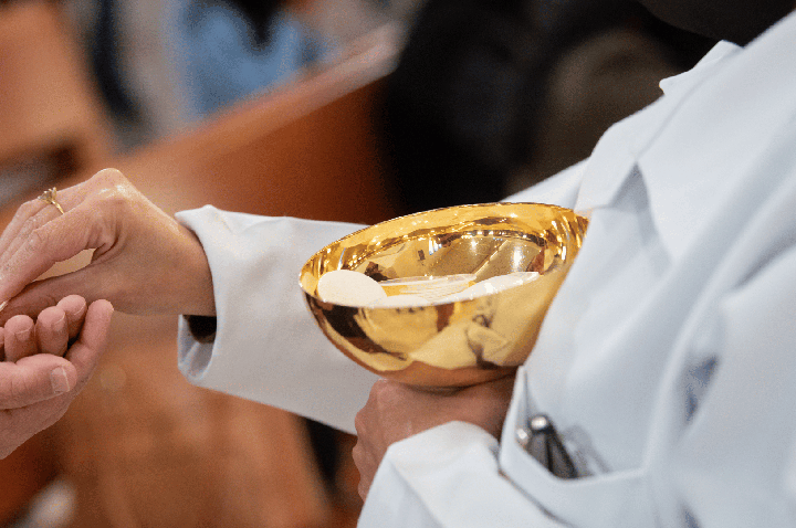 Igreja celebra vocação dos cristãos leigos, discípulos missionários