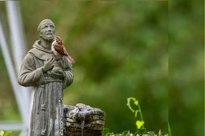 Paróquia Santa Catarina de Alexandria realiza bênção dos animais em honra a São Francisco de Assis