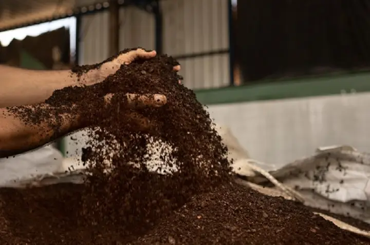 Resíduo de café vira biometano e abastecerá indústria com energia limpa