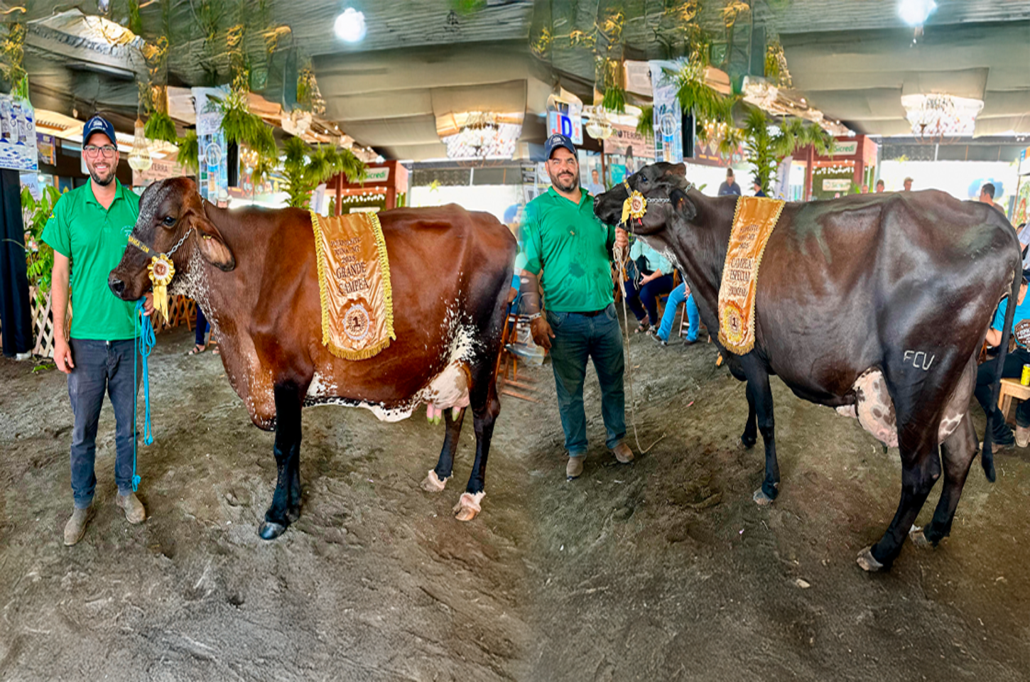 Juína encerra 3ª EXPOLEITE com recorde estadual e valorização do pequeno produtor