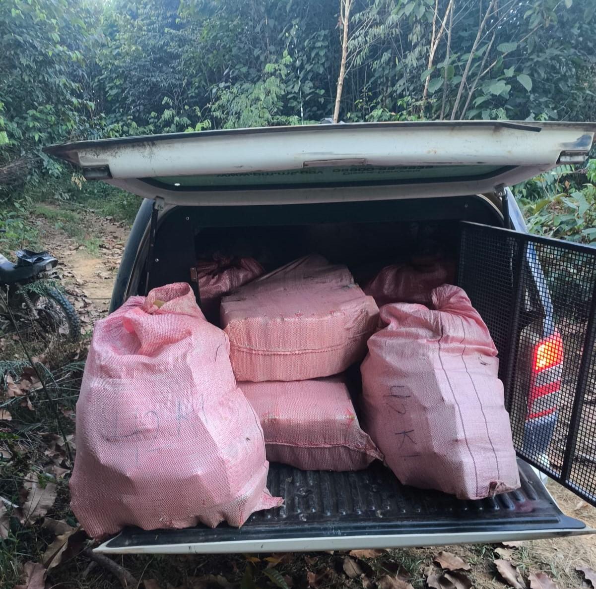 Força Tática apreende cerca de 500 quilos de drogas em área de mata no distrito de Guariba