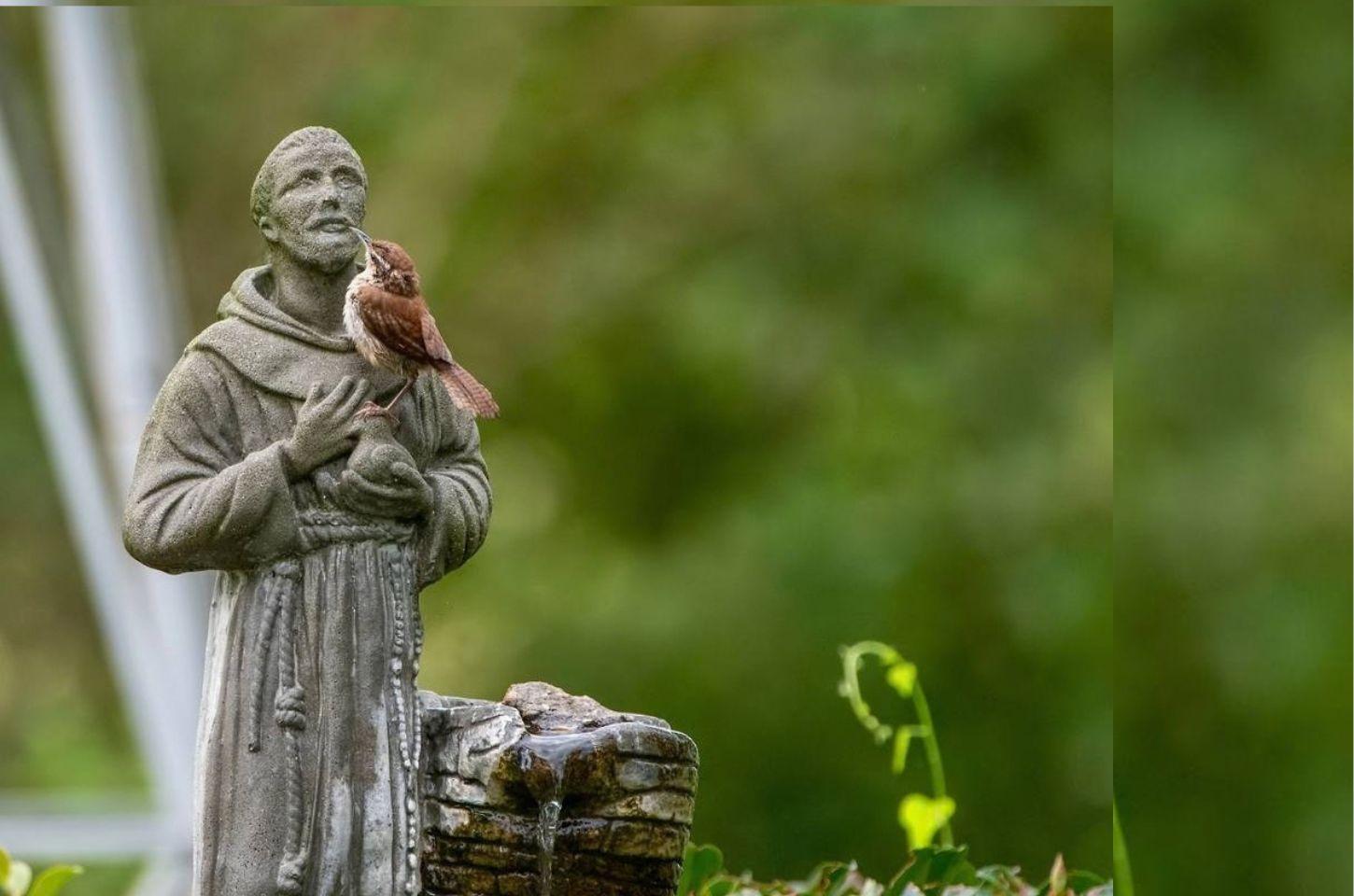 Paróquia Santa Catarina de Alexandria realiza bênção dos animais em honra a São Francisco de Assis
